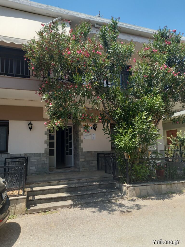 Petridis Village